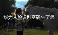 華為人臉識別密碼忘了怎么辦（華為手機如何設置人臉識別密碼）