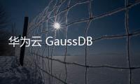 華為云 GaussDB 重磅亮相華為全球智慧金融峰會(huì)，產(chǎn)品能力全新升級(jí)