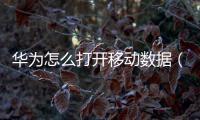 華為怎么打開移動數據（華為怎么打開移動數據）