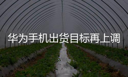 華為手機(jī)出貨目標(biāo)再上調(diào) 韓媒稱明年或達(dá)1億部