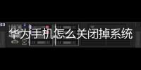 華為手機(jī)怎么關(guān)閉掉系統(tǒng)自動(dòng)升級(jí)功能