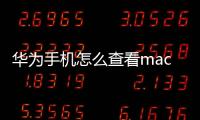 華為手機怎么查看mac地址是多少（華為手機怎么查看mac地址）