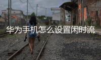華為手機怎么設置閑時流量使用（華為手機怎么設置閑時流量）