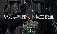 華為手機(jī)如何下載楚稅通（華為手機(jī)怎么下載個(gè)人所得稅app）