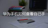 華為手機(jī)如何查看自己手機(jī)的型號(hào)（華為手機(jī)如何查看手機(jī)型號(hào)）