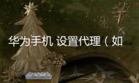 華為手機 設(shè)置代理（如何給華為手機網(wǎng)絡(luò)連接設(shè)置代理）