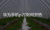 華為手機p20如何開熱點（華為p20熱點怎么開）