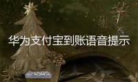 華為支付寶到賬語音提示怎么設置（華為支付寶到賬沒語音）