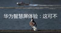 華為智慧屏體驗：這可不是一塊大屏那么簡單,行業資訊
