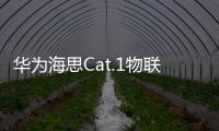 華為海思Cat.1物聯芯片Hi2131正式上市