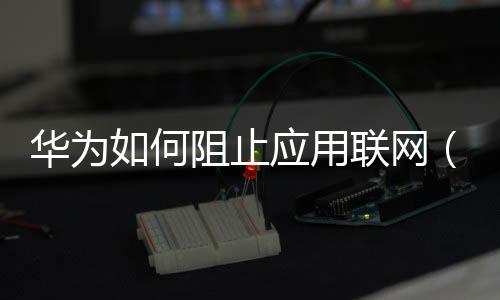 華為如何阻止應用聯網（華為手機怎樣才能禁止應用聯網）