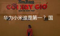 華為小米誰(shuí)是第一？ 國(guó)產(chǎn)手機(jī)排名數(shù)據(jù)打架