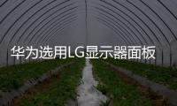 華為選用LG顯示器面板，打造60寸OLED智能電視,經驗交流