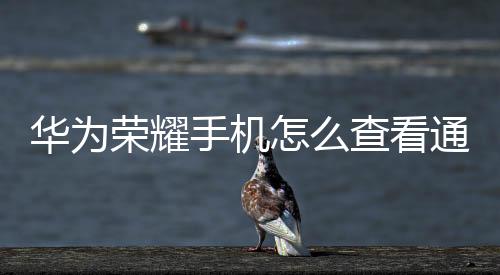 華為榮耀手機怎么查看通話錄音記錄（華為榮耀手機怎么查看通話錄音）
