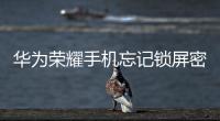華為榮耀手機忘記鎖屏密碼怎么辦?（華為榮耀忘記鎖屏密碼怎么辦）