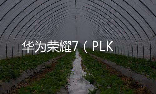 華為榮耀7（PLK