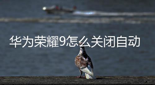 華為榮耀9怎么關閉自動更新應用（華為榮耀9怎么關閉自動更新）
