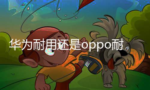 華為耐用還是oppo耐用（oppo和華為手機哪個好）
