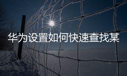 華為設置如何快速查找某一功能位置（華為設置如何快速查找某一功能）