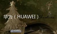 華為（HUAWEI） MateBook X Pro（2019）139英寸輕薄本(