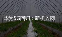 華為5G回歸：新機入網？官方回應是誤會 用戶不在乎4G Mate50也狂買