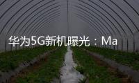 華為5G新機曝光：Mate設計 麒麟芯片 鴻蒙OS 3.0