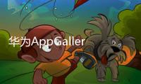 華為AppGallery 13.3.1.200 beta測(cè)試新變化