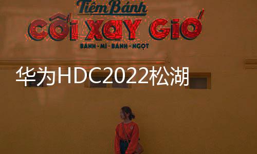 華為HDC2022松湖對話：軟通動力雙線使能，繁榮鴻蒙生態