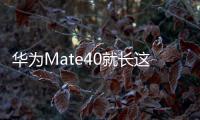 華為Mate40就長這樣？設計專利曝光華為五攝新機