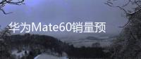 華為Mate60銷量預(yù)計(jì)突破600萬！