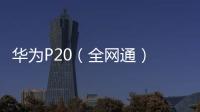 華為P20（全網通） 玻璃機身純凈ROOT刷機包分享，一鍵救磚教程，輕松刷回