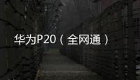 華為P20（全網通）