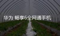 華為 暢享6全網通手機密碼忘了怎么刷機？一鍵解鎖法 極速開機