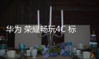 華為 榮耀暢玩4C 標準版電信4G免拆機解鎖屏幕