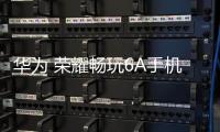 華為 榮耀暢玩6A手機(jī)刷機(jī)