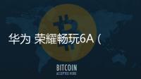 華為 榮耀暢玩6A (DLI