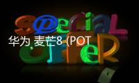 華為 麥芒8 (POT