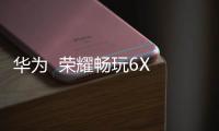 華為  榮耀暢玩6X (BLN