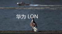 華為 LON