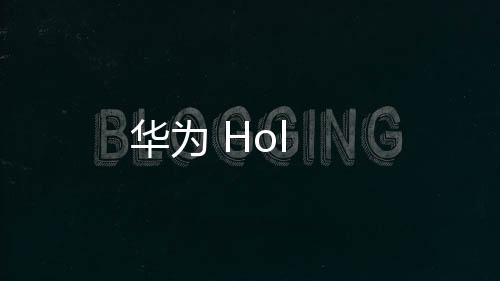 華為 Hol