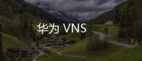 華為 VNS