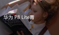 華為 P8 Lite青春版移動(dòng)4G卡刷通用教程