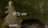 華為 ale