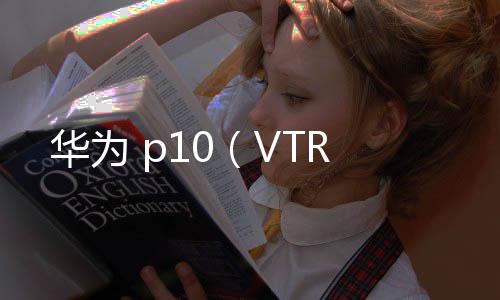 華為 p10（VTR