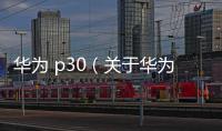 華為 p30（關于華為 p30的基本情況說明介紹）