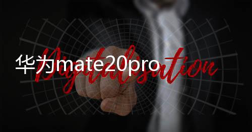 華為mate20pro怎么鎖屏幕（華為mate20 Pro手機(jī)怎么進(jìn)行一鍵鎖屏）