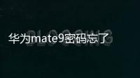 華為mate9密碼忘了怎么辦（華為mate9密碼忘了怎么辦）