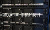 華為mate手機(jī)如何開(kāi)啟簡(jiǎn)單模式