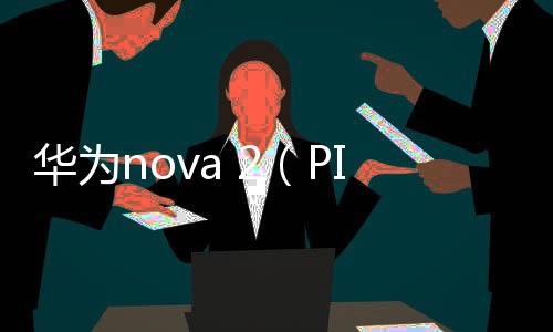 華為nova 2（PIC
