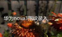 華為nova3指紋錄入不見了（華為nova3指紋設(shè)置不見了）